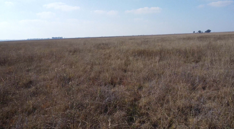 0 Bedroom Property for Sale in Koppies Rural Free State